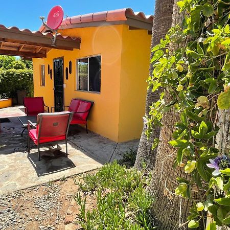 Хостел Rancho El Campanario En La Ruta Del Vino Вальє-де-Гуадалупе Екстер'єр фото