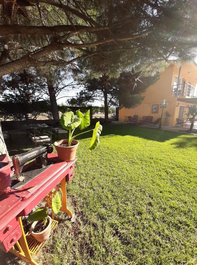 Хостел Rancho El Campanario En La Ruta Del Vino Вальє-де-Гуадалупе Екстер'єр фото
