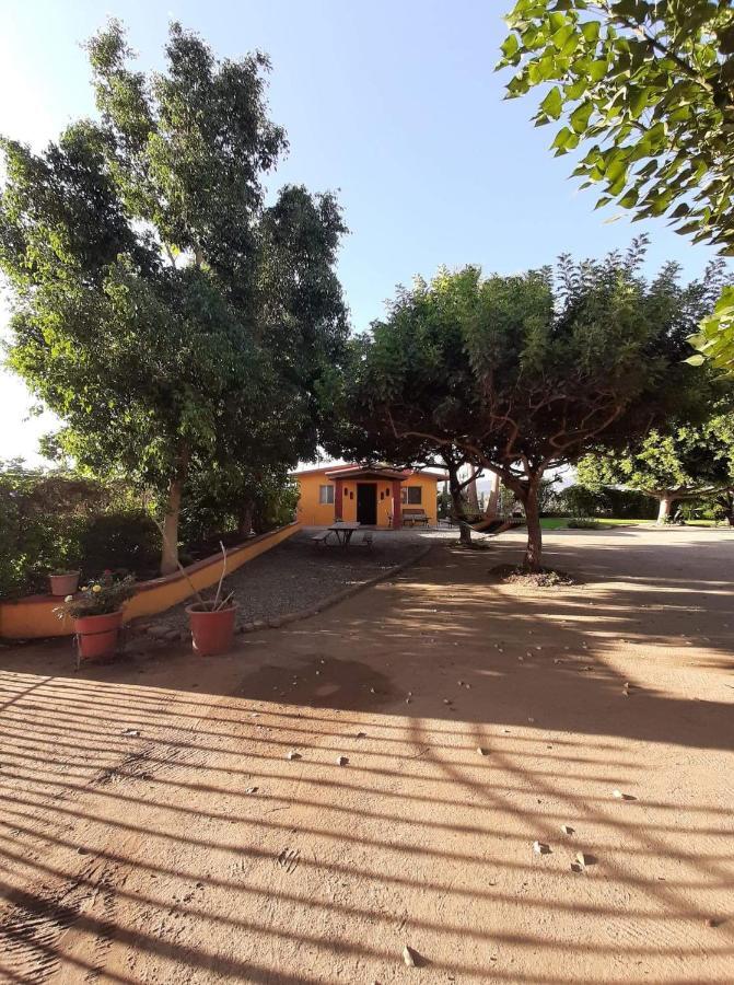 Хостел Rancho El Campanario En La Ruta Del Vino Вальє-де-Гуадалупе Екстер'єр фото